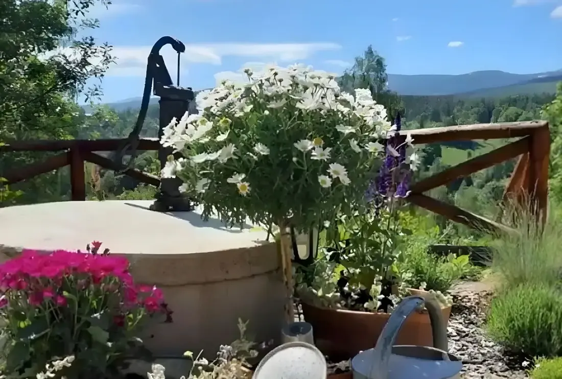 Wiosenne kwiaty w ogrodzie, w tle góry
